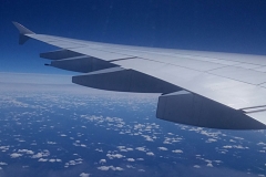 Flug