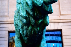 king-of-the-lions