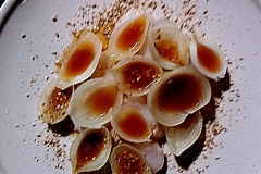 Onion,-Scallop