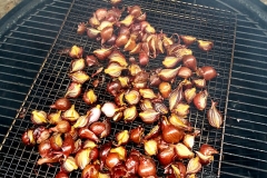 smoke-onions-every-day