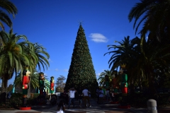 weihnachten-in-orlando
