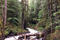 IMG_1320 (2)