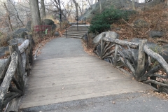 Central Park