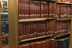 Public Library