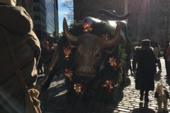 Charging Bull