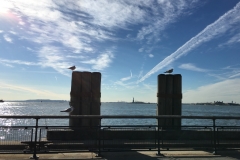 Meer