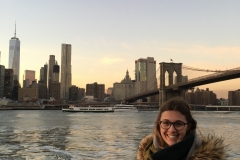 Aussicht auf Manhattan vom Brooklyn Park