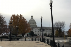 Capitol