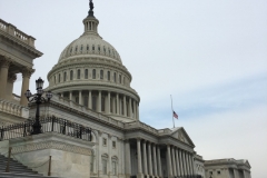 Capitol