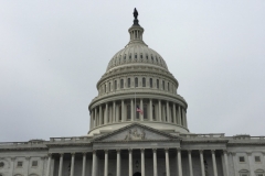 Capitol