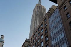 NY-13