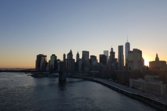 NY-26