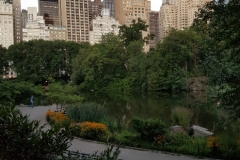 NY-30