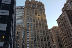 NY-07