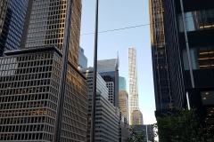 NY-08