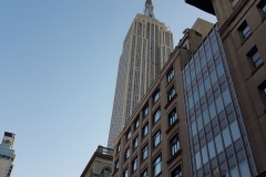 NY-10