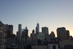NY-17