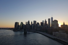 NY-23