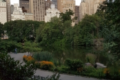 NY-27